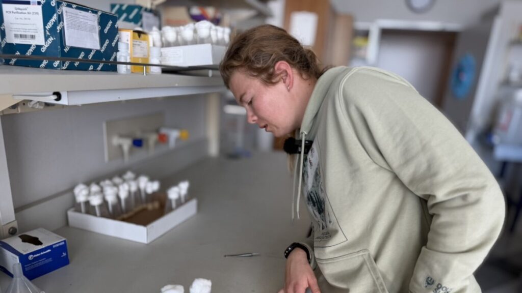 U.S. skier balances Paralympic training and research : NPR