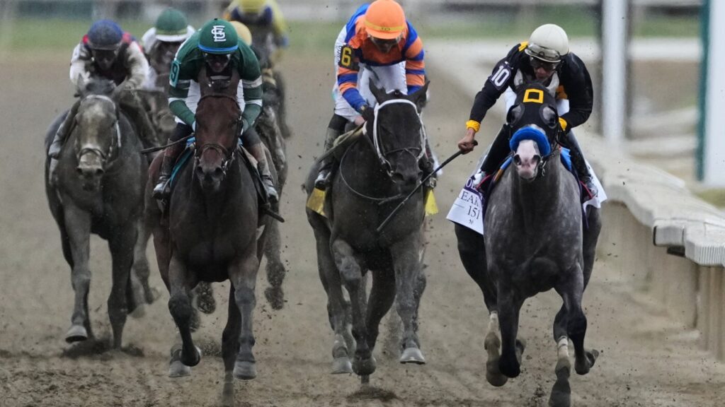 Napoleon Solo wins the Preakness at Laurel Park : NPR Napoleon Solo wins the Preakness at Laurel Park : NPR