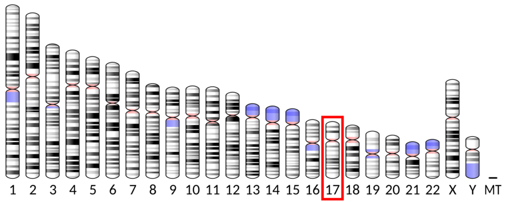 ABR, RhoGEF and GTPase activating protein: Difference between revisions ABR, RhoGEF and GTPase activating protein: Difference between revisions